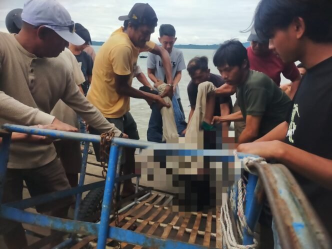 
					Salah satu korban kecelakaan speedboat di perairan Nunukan akan dibawa ke Puskesmas. Foto : Ist