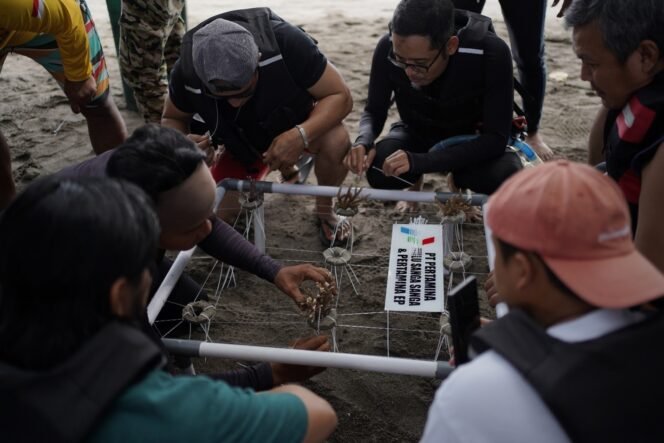 
					PT Pertamina Hulu Indonesia (PHI) beserta anak perusahaan dan afiliasinya menggelar kegiatan Konservasi Terumbu Karang dan Keanekaragaman Hayati di perairan Bangsring, Banyuwangi, pada 11 Desember 2024