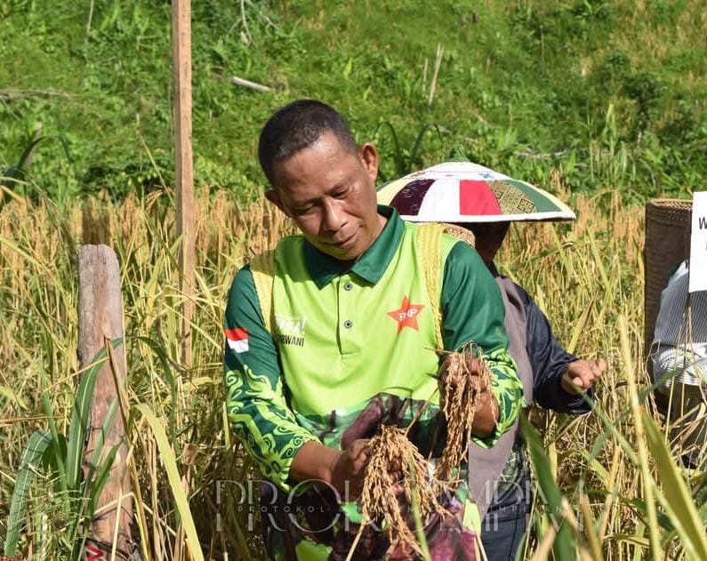 Program Berkelanjutan Pemkab Wujudkan Komitmen Bulungan Berdaulat Pangan