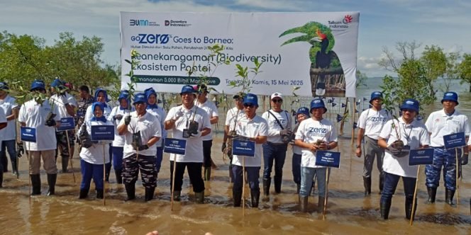 
					Jajaran Pimpinan Telkom bersama Pemda dan Forkopimda di Kaltara Tanam Bibit Mangrove di Kawasan Pesisir Pantai Tanjung Pasir. Foto: fokusborneo.com