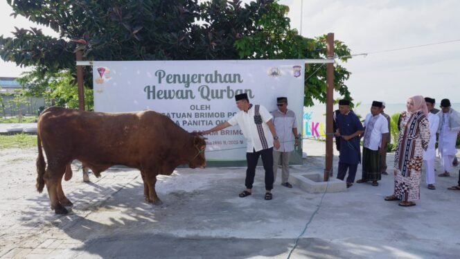 
					Komandan Satuan (Dansat) Brimob Polda Kaltim, Kombes Pol. Andy Rifai menyerahkan secara simbolis hewan kurban kepada panitia. Acara penyerahan ini menjadi simbol dimulainya prosesi penyembelihan dan distribusi daging kurban kepada masyarakat yang berhak, Jumat, (6/6/2025).