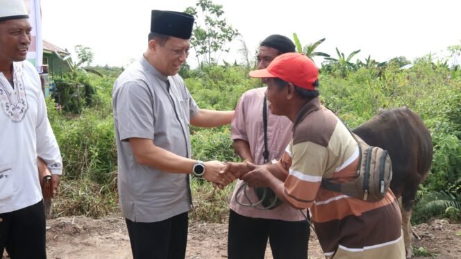 
					Makna Idul Adha, Kapolda Kaltara Serahkan 4 Ekor Sapi Kurban untuk Warga SP 6 hingga SP 9 Tanjung Buka