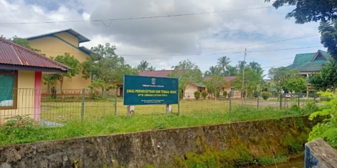 
					UPTD LLK Tarakan Jadi Lokasi Sekolah Rakyat. Foto: fokusborneo.com