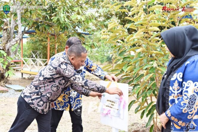 
					Ungkapan terima kasih dan apresiasi disampaikan Bupati Bulungan, Syarwani, S.Pd, saat meluncurkan aksi perubahan revitalisasi Taman Toburi (Tanaman Obat, Buah-buahan dan Rekreasi) Kecamatan Tanjung Selor pada Kamis (12/6/2025