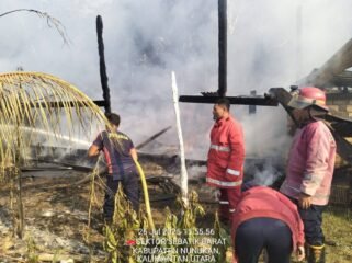 Petugas Damkar Sebatik Barat saat berupaya memadamkan api di lokasi kejadian, Sabtu (26/7/2025).