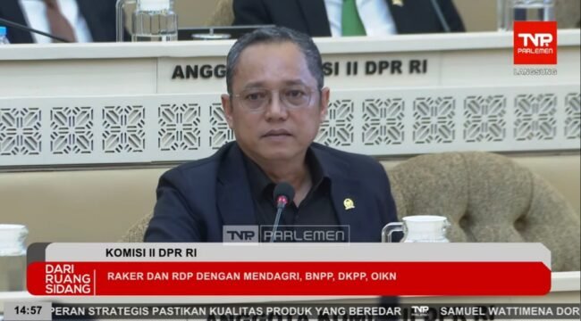 Anggota Komisi II DPR RI, Deddy Sitorus. Foto: ist