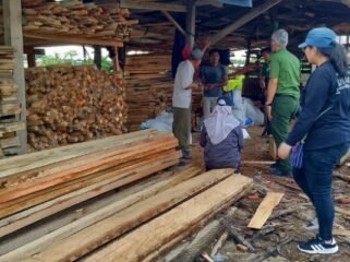 Pegawai UPTD KPH Tarakan Pendataan Pelaku Usaha Kayu di Kota Tarakan. Foto: KPH Tarakan 
