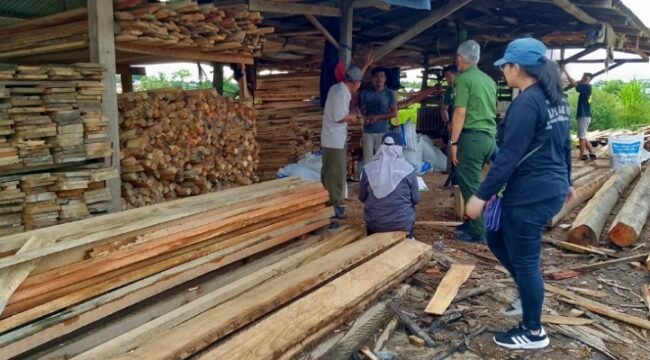 Pegawai UPTD KPH Tarakan Pendataan Pelaku Usaha Kayu di Kota Tarakan. Foto: KPH Tarakan 
