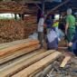 Pegawai UPTD KPH Tarakan Pendataan Pelaku Usaha Kayu di Kota Tarakan. Foto: KPH Tarakan 