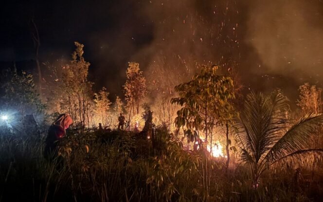 
					Sampai Malam, Tim Pemadam KPH Tarakan Berjibaku Padamkan Api di Kawasan Hutan Lindung. Foto: KPH Tarakan 