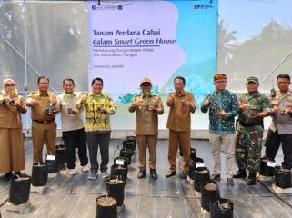 Wakil Walikota Tarakan Ibnu Saud dan Kepala Perwakilan Bank Indonesia Provinsi Kaltara Hasiando G Manik hadiri penanaman Cabai. Foto: Ist