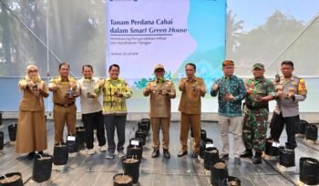Wakil Walikota Tarakan Ibnu Saud dan Kepala Perwakilan Bank Indonesia Provinsi Kaltara Hasiando G Manik hadiri penanaman Cabai. Foto: Ist