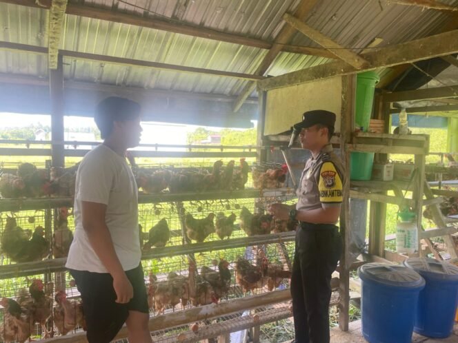 
					 Bripda Evaldo, Bhabinkamtibmas Desa Tana Merah Barat, lewat kegiatan pembinaan dan kerja sama dengan masyarakat dalam mengembangkan usaha peternakan ayam petelur.