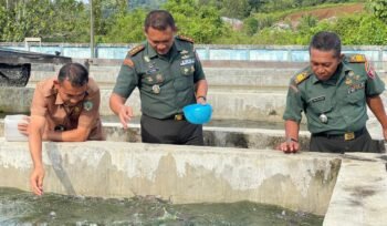 Komando Distrik Militer (Kodim) 0914 Tana Tidung (TNT) membuka peluang sinergi program bersama Dinas Perikanan Kabupaten Tana Tidung, melalui kunjungan resminya ke Balai Benih Ikan, Rabu (23/7/2025).