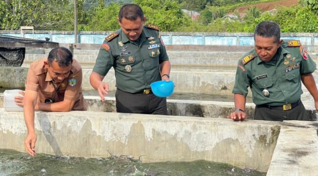 Komando Distrik Militer (Kodim) 0914 Tana Tidung (TNT) membuka peluang sinergi program bersama Dinas Perikanan Kabupaten Tana Tidung, melalui kunjungan resminya ke Balai Benih Ikan, Rabu (23/7/2025).