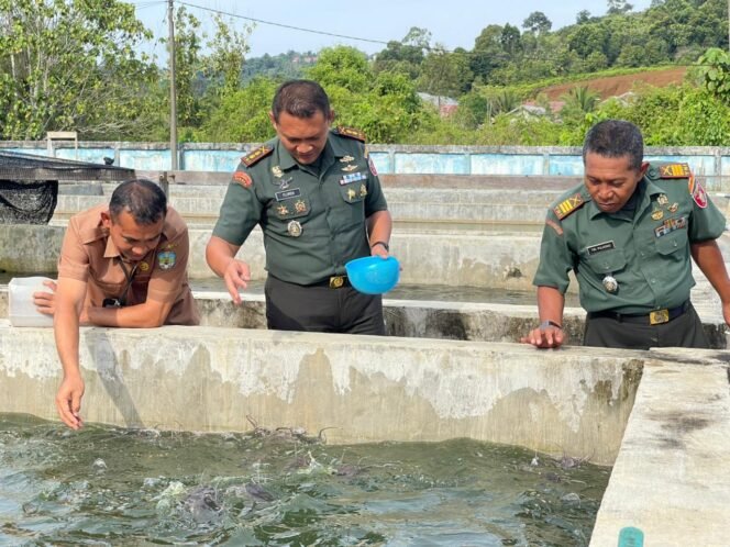 
					Komando Distrik Militer (Kodim) 0914 Tana Tidung (TNT) membuka peluang sinergi program bersama Dinas Perikanan Kabupaten Tana Tidung, melalui kunjungan resminya ke Balai Benih Ikan, Rabu (23/7/2025).