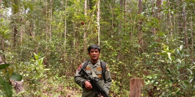 
					KPH Tarakan Jadikan Momen Hari Hutan Indonesia Sebagai Refleksi Jaga Fungsi Hutan