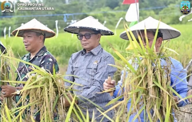 
					Wakil Ketua DPRD Provinsi Kaltara Muhammad Nasir hadiri panen padi di Desa Wonomulyo, Kecamatan Tanjung Palas Timur. Foto: Humas