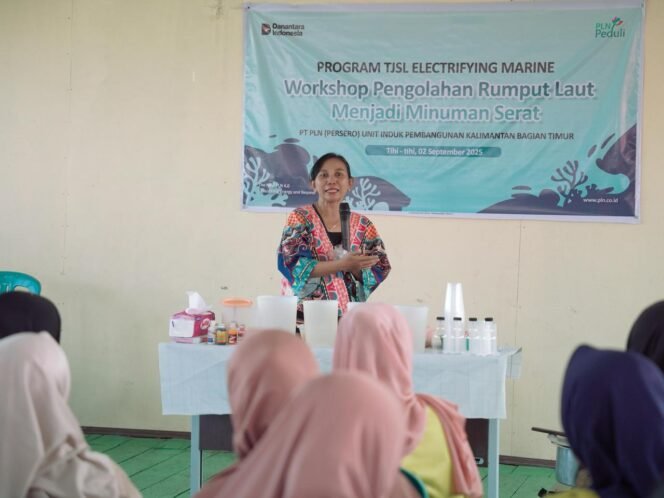 
					Electrifying Marine: PLN Angkat Rumput Laut Jadi Produk Unggulan