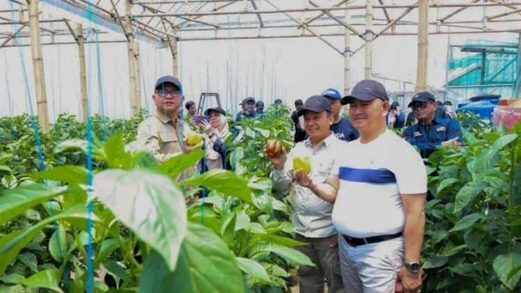 Studi Banding Pengendalian Inflasi, Wali Kota Tarakan Bersama TPID Pelajari Pertanian Modern di Bandung