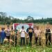 Dukung Ketahanan Pangan, Polsek Tanjung Palas Utara Ikut Panen Raya Jagung Serentak Tahap III