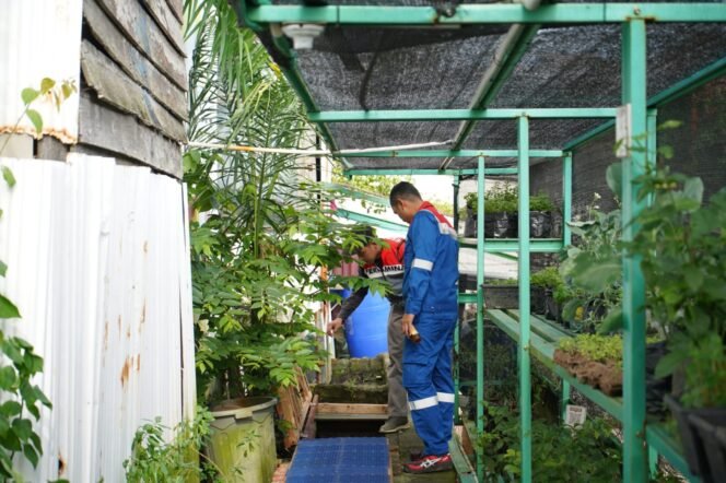 
					Program Kaliandra binaan PT Kilang Pertamina Internasional (KPI) Unit Balikpapan berhasil meraih penghargaan internasional bergengsi dalam ajang 14th Edition Corporate Social Responsibility Summit & Awards 2025 yang digelar pada 26 Agustus 2025 di Chennai, India. Kaliandra dinobatkan sebagai “Best CSR Project of the Year”, mengungguli berbagai inisiatif tanggung jawab sosial perusahaan dari berbagai negara.