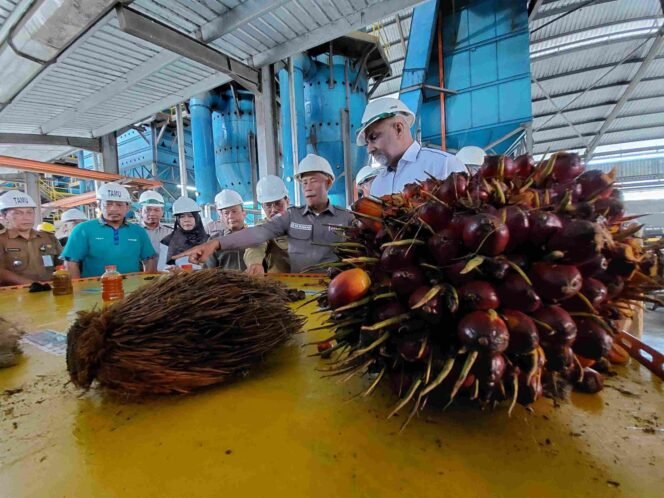 
					Bupati Bulungan, Syarwani, meninjau kawasan perkebunan dan pabrik kelapa sawit sebagai bagian dari upaya Pemkab mengoptimalkan sektor strategis untuk meningkatkan PAD dan kesejahteraan masyarakat.