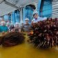 Bupati Bulungan, Syarwani, meninjau kawasan perkebunan dan pabrik kelapa sawit sebagai bagian dari upaya Pemkab mengoptimalkan sektor strategis untuk meningkatkan PAD dan kesejahteraan masyarakat.