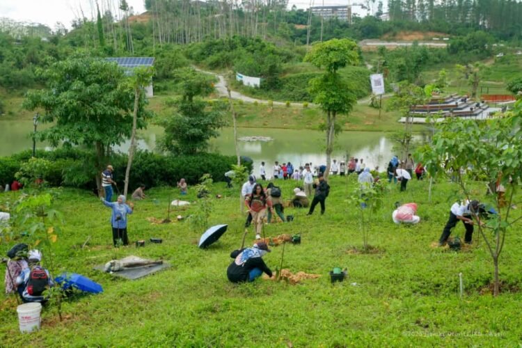 Penanaman Kopi Liberika Tandai Inisiatif Pertanian Berkelanjutan di IKN