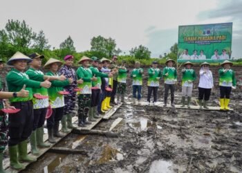Dukung Program Prabowo, Kelompok Tani Siaboy Makmur Pelopori Pembukaan Lahan Sawah 202 Hektar Perdana di Tarakan