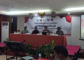 Deddy Sitorus Soroti Pemotongan TKD dan Masalah Perbatasan di Kaltara