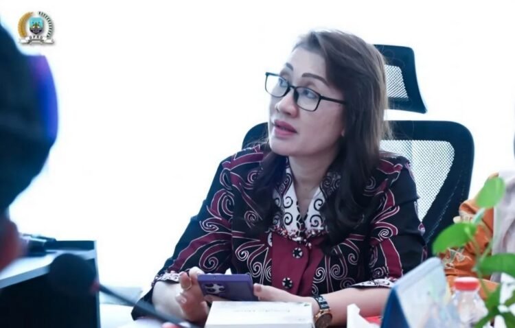 Kesenjangan Pembangunan di Pedesaan dan Risiko Kesehatan Jadi Soroti DPRD Kaltara