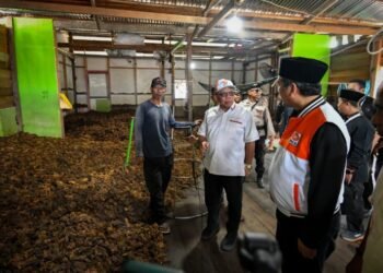 Muhammad Nasir Dorong Aspirasi Petani Rumput Laut Nunukan ke Pusat