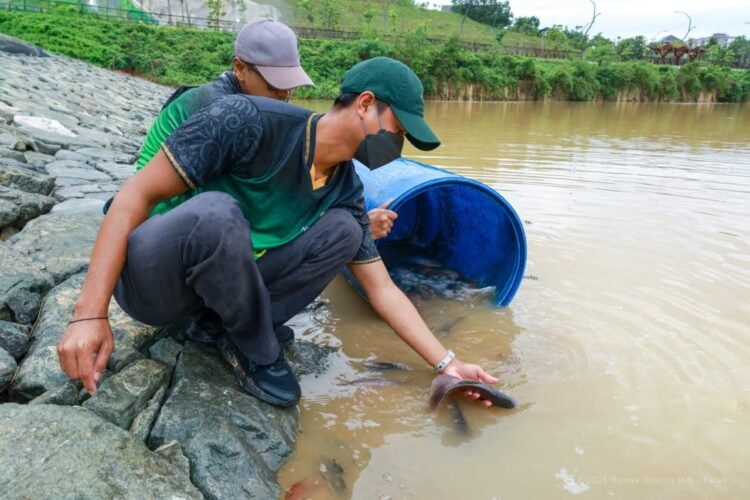 Otorita IKN Perkuat Ketahanan Pangan Lewat Edukasi Gizi dan Tebar Ikan Konsumsi