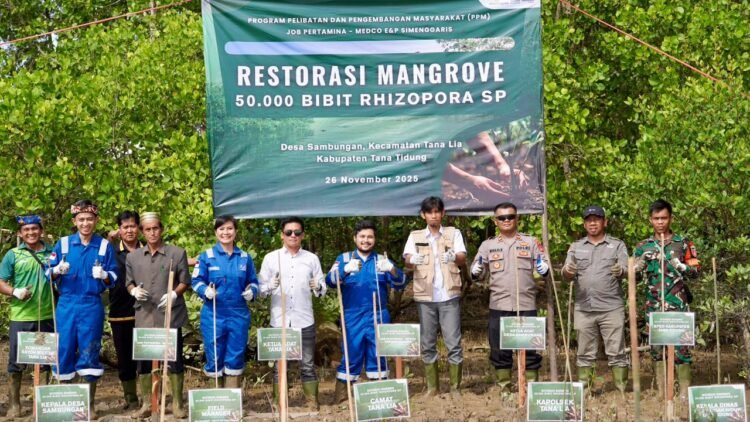 Peringati Hari Menanam Pohon Nasional, JOB Simenggaris Tanam 50.000 Mangrove di Pesisir Desa Sambungan, Kalimantan Utara