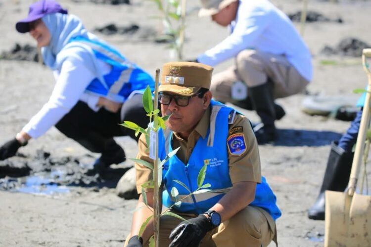 Pemerintah Kota Tarakan Keluarkan Peringatan Dini Bencana, Imbau Masyarakat Tingkatkan Kewaspadaan