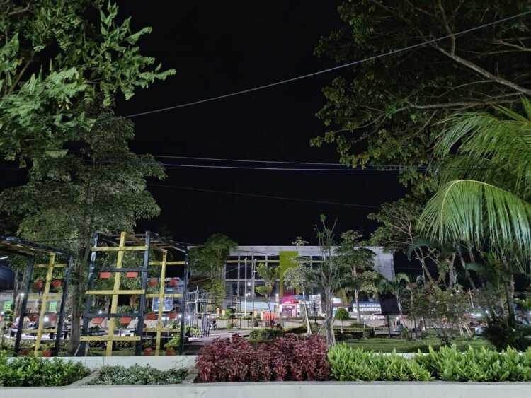 Anggaran 2026 Fokus Operasional, Pemeliharaan Taman dan TPU Dihentikan Sementara