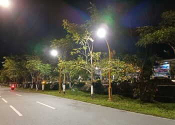 DLH Minta CSR Perusahaan Fokus pada Penanaman Pohon Berkualitas