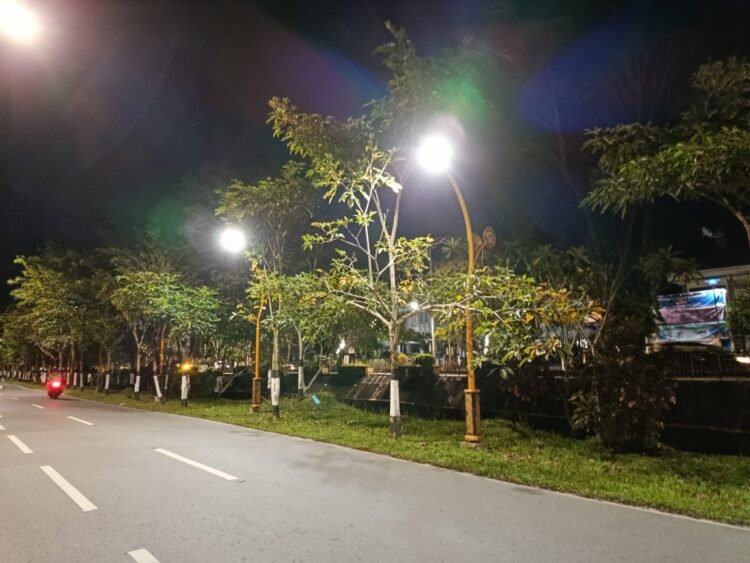 DLH Minta CSR Perusahaan Fokus pada Penanaman Pohon Berkualitas