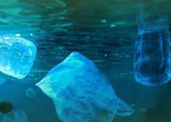 DLH Sebut Sampah Pesisir Balikpapan Didominasi Kiriman Luar Kota, Hanya 0,4% Berasal dari Warga Lokal