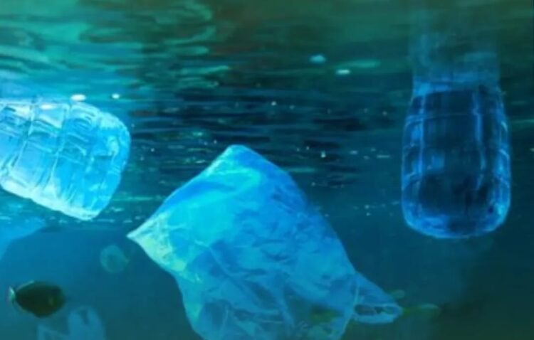 DLH Sebut Sampah Pesisir Balikpapan Didominasi Kiriman Luar Kota, Hanya 0,4% Berasal dari Warga Lokal