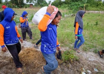 Memperkenalkan Padi Gogo sebagai Andalan Baru Ketahanan Pangan di Nusantara