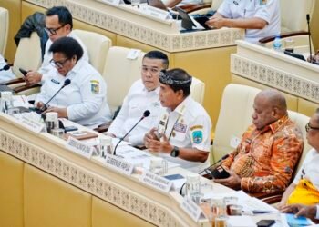Di Hadapan DPR RI, Gubernur Kaltara Paparkan Kondisi Riil Masyarakat Perbatasan