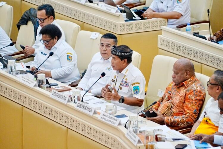Di Hadapan DPR RI, Gubernur Kaltara Paparkan Kondisi Riil Masyarakat Perbatasan