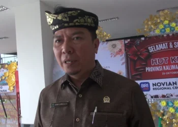 Dukungan Publik Menguat, Pemekaran DOB Tanjung Selor Kian Menggema