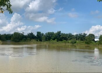Embung Persemaian Tarakan Rawan Buaya, Dari Ternak Kini Sasar Manusia