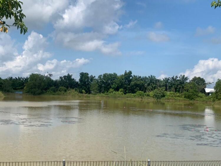 Embung Persemaian Tarakan Rawan Buaya, Dari Ternak Kini Sasar Manusia