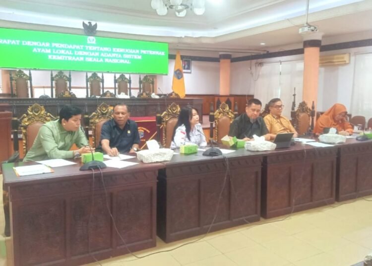 Peternak Ayam Lokal Tarakan Resah, Masuknya Perusahaan Nasional Diduga Ancam Harga Pasar