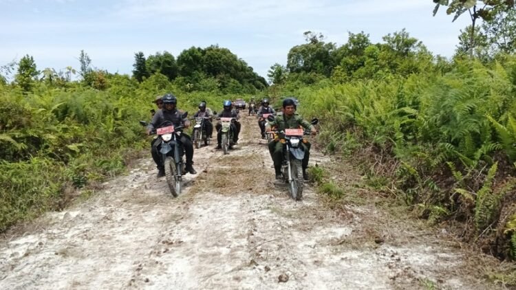 Menjaga Paru-Paru Tarakan, Tantangan KPH di Tengah Maraknya Perambahan dan Pemukiman