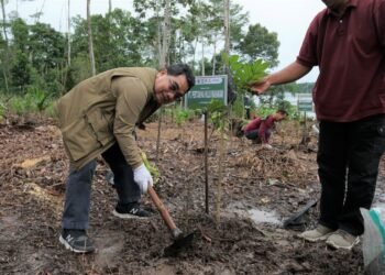 PT Pertamina Hulu Mahakam Rehabilitasi 345 Hektare DAS di Hutan Lindung Manggar dan Sungai Wain